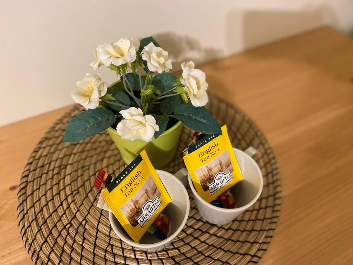 Willa Aleksandra - Apartamenty Miedzybrodzie Zywieckie Buitenkant foto