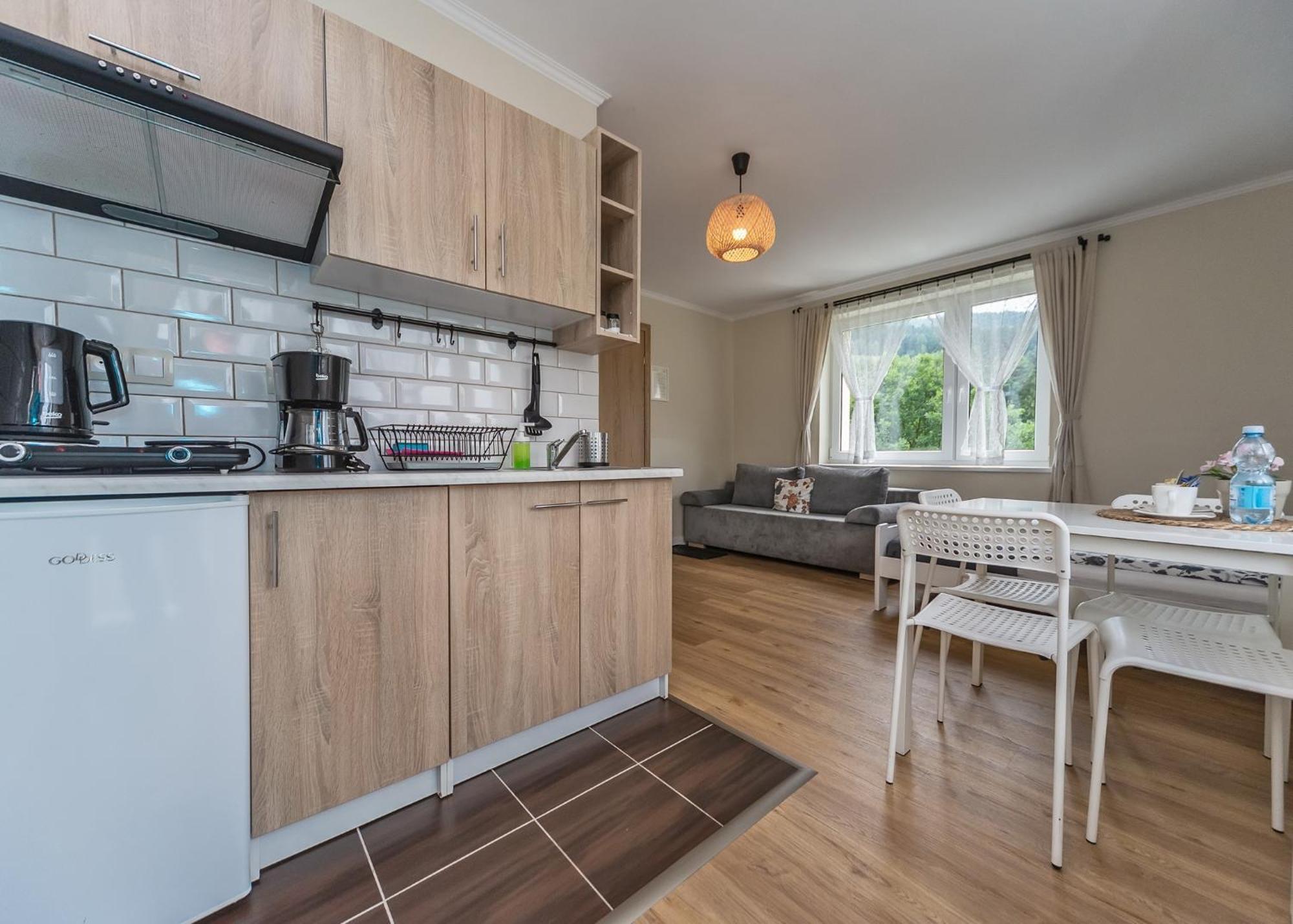 Willa Aleksandra - Apartamenty Miedzybrodzie Zywieckie Buitenkant foto
