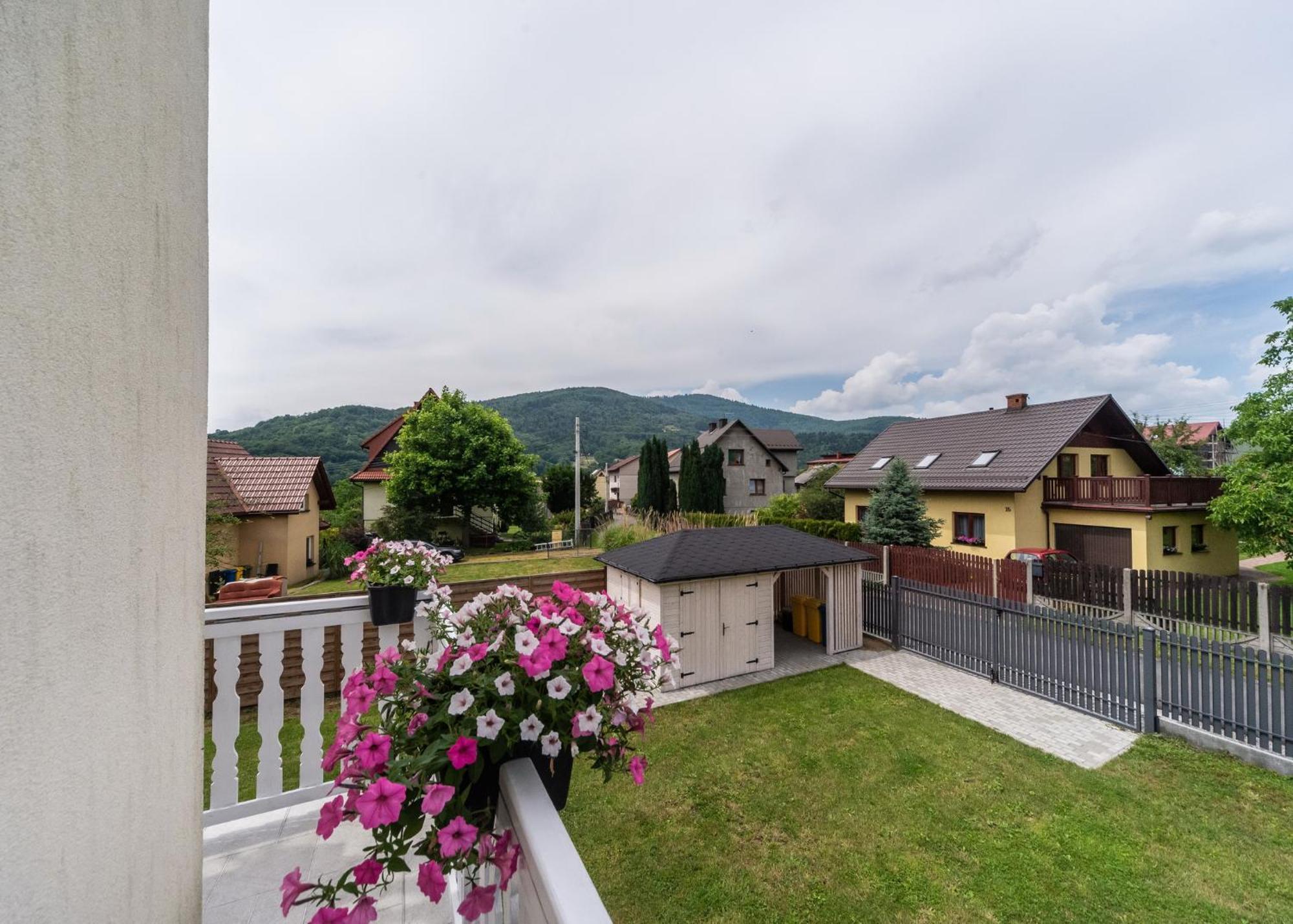 Willa Aleksandra - Apartamenty Miedzybrodzie Zywieckie Buitenkant foto