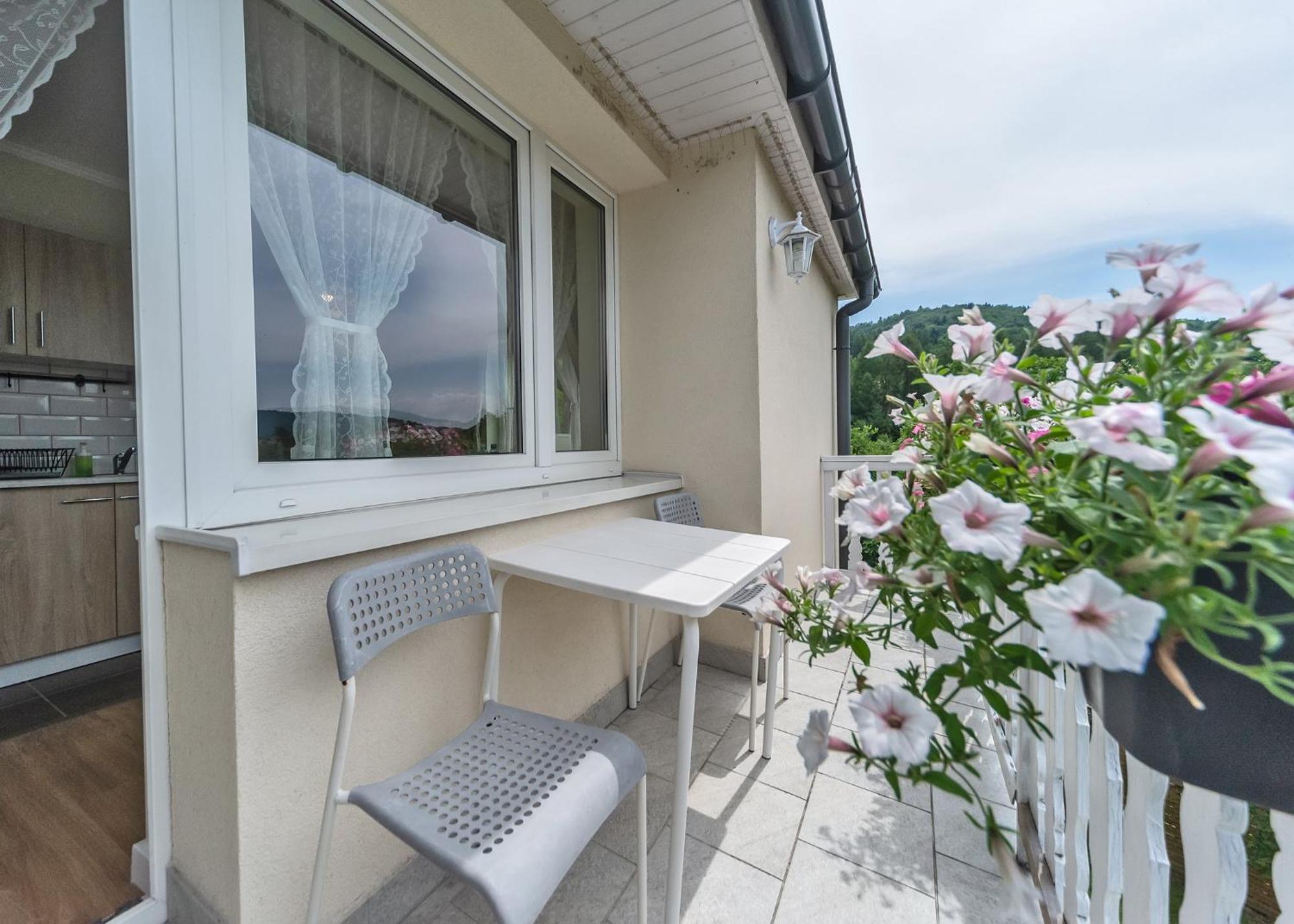 Willa Aleksandra - Apartamenty Miedzybrodzie Zywieckie Buitenkant foto