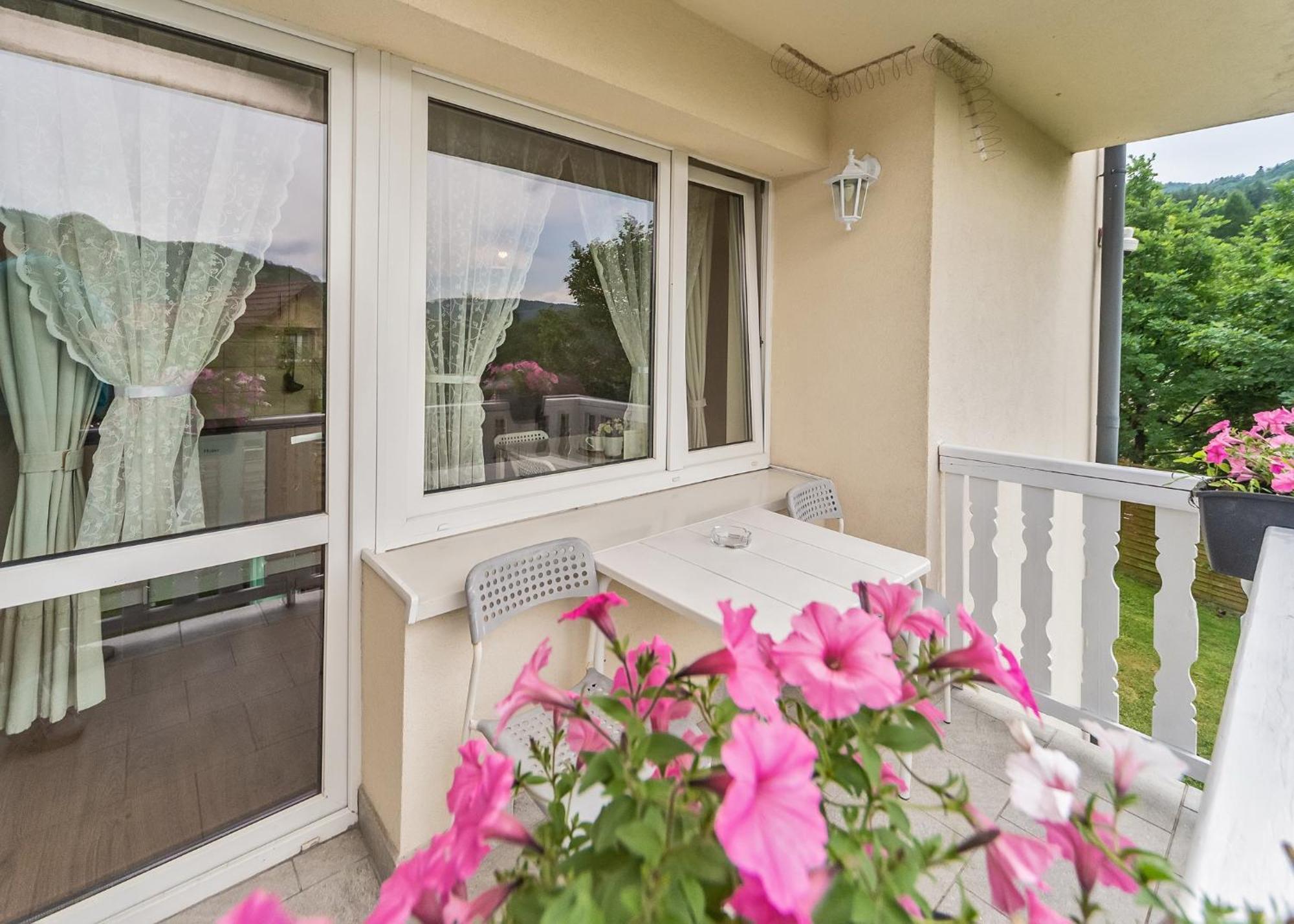Willa Aleksandra - Apartamenty Miedzybrodzie Zywieckie Buitenkant foto