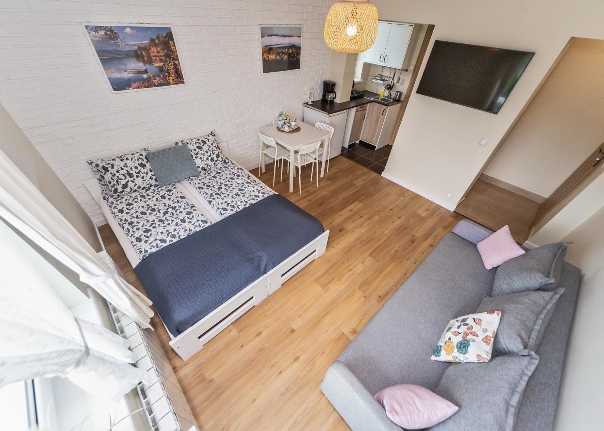 Willa Aleksandra - Apartamenty Miedzybrodzie Zywieckie Buitenkant foto