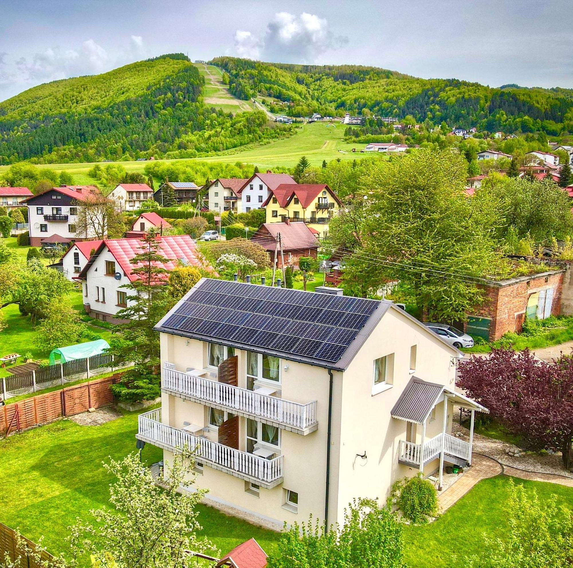 Willa Aleksandra - Apartamenty Miedzybrodzie Zywieckie Buitenkant foto